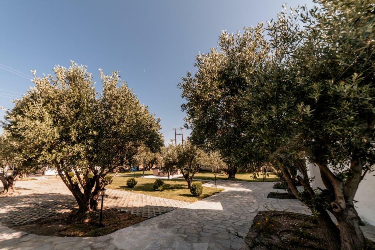 Cyclades Luxury Studios Nea Poteidaia Exterior foto